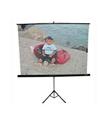 Codegen TX-18 180X180 Tripod Projeksiyon Perdesi