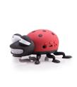 Bewell BS-09 Uğur Böcekli Müzik Kutusu sd-fm-usb