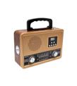 Everton RT-353 Bluetooth-USB-SD-FM Kumandalı Nostaljik Radyo