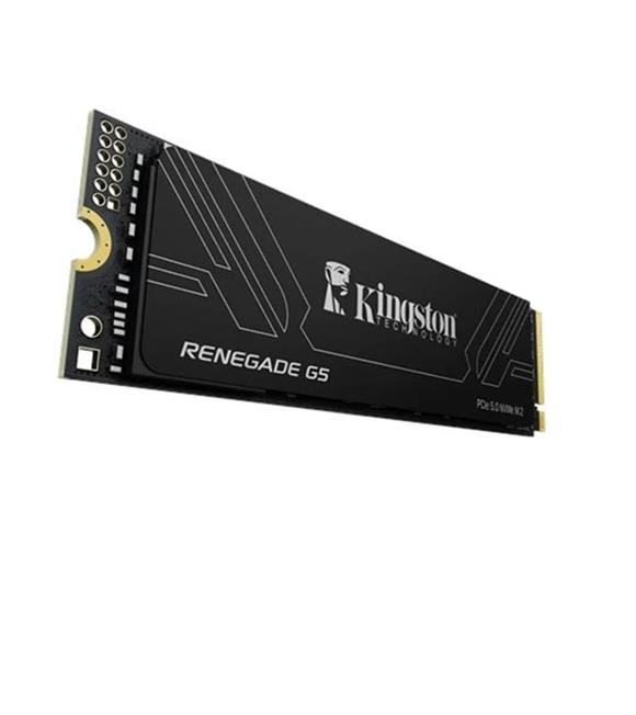 Kingston 1TB Renegade SRNG2S-1T0 G5 14200-11000MB-s PCIe 5.0 NVMe SSD Disk