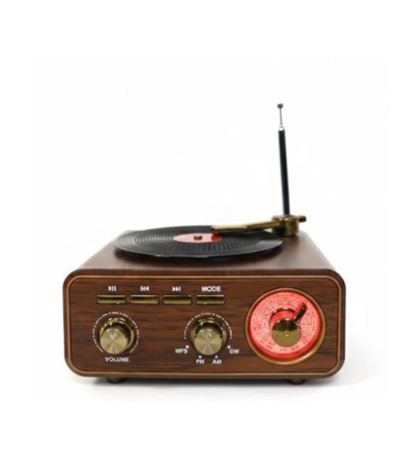 Everton RT-1317bt  Bluetooth Usb-Micro Plak Radyo