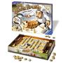 Ravensburger Bay Böcek Firarda