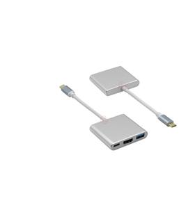 Frisby FA-7656TC Type-C - HDMI + USB 3.0 Adaptör + PD Şarj