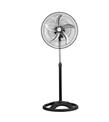 Everest FAN16 Siyah 18
