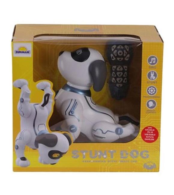 Sunman Robot Akrobat Köpek F/f Sesli 3.7V.usb Sun-s00005136 Kız Oyuncak