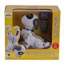 Sunman Robot Akrobat Köpek F/f Sesli 3.7V.usb Sun-s00005136