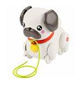 Fisher Price Minik Dostumla Yürüyüş Mtl-htw94 Kız Oyuncak