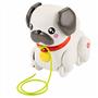 Fisher Price Minik Dostumla Yürüyüş Mtl-htw94