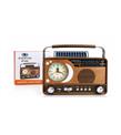 Everton Rt-622 Bluetooth Fm-Usb-Tf-Aux Şarjlı Nostaljik Radyo Bluetooth Hoparlör