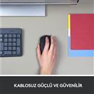 Logitech 910-004424 M171 Kablosuz Siyah Mouse_1