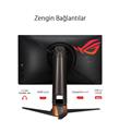 Asus 24.5