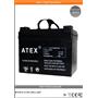 Atex 12-33G Jell Akü