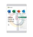 Microsoft Office 2019 Home and Business İngilizce Lisans Kutu T5D-03332