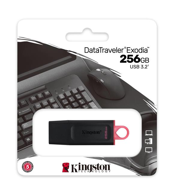 Kingston DTX-256GB 256GB USB3.2 Gen 1 DataTraveler Exodia (Black + Pink)Flash Bellek_1