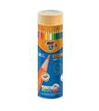 Bic Kuru Boya Evolution Metal Tüp 36 LI 968491