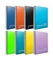 Gıpta Fresco Spiralli Plastik Kapak Defter A4 80 YP Kareli 4900
