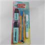 Stabilo Fosforlu Kalem Tek Renk Pastel Set 6 Lı Mavi 70/113-6