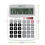 Gıpta Hesap Makinesi Masa Üstü 12 Hane F3036