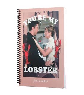 Mabbels Spiralli Defter Friends Youre My Lobster Pembe 80 YP 17x24 DFT-388463