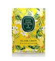 Eyüp Sabri Tuncer 50li Mendil Klasik Limon Kolonyalı (9,3 x 12,5) Doypack