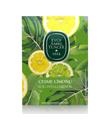 Eyüp Sabri Tuncer 50li Mendil Çeşme limonu Kolonyalı (9,3 x 12,5) Doypack