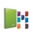 Elma Sert Kapak Defter Prestige Defter Ciltli 17x24 100 YP Kareli