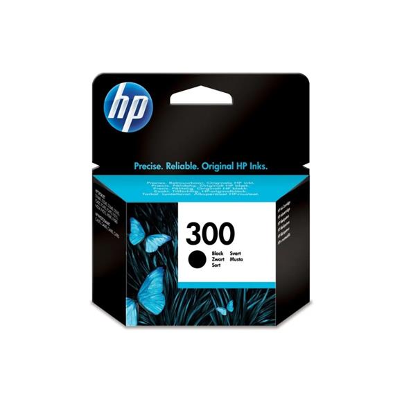 HP 300 Black Siyah Kartuş CC640EE