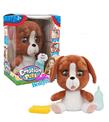 Emotion Pets Evcil Hayvanlar