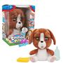 Emotion Pets Evcil Hayvanlar