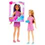 Barbie Skipper Ve Stacie Doğum Günü Eğlencesi MTL-HKB12