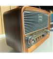 Everton Rt-875 Bluetooth Fm-Usb-Tf-Aux Şarjlı Nostaljik Radyo_1)