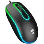 Everest SM-166 Usb Siyah Işıklı Optik Mouse