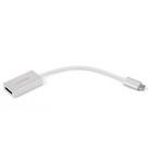 Dark USB 3.1 Type C - DP Dönüştürücü DK AC U31XDP