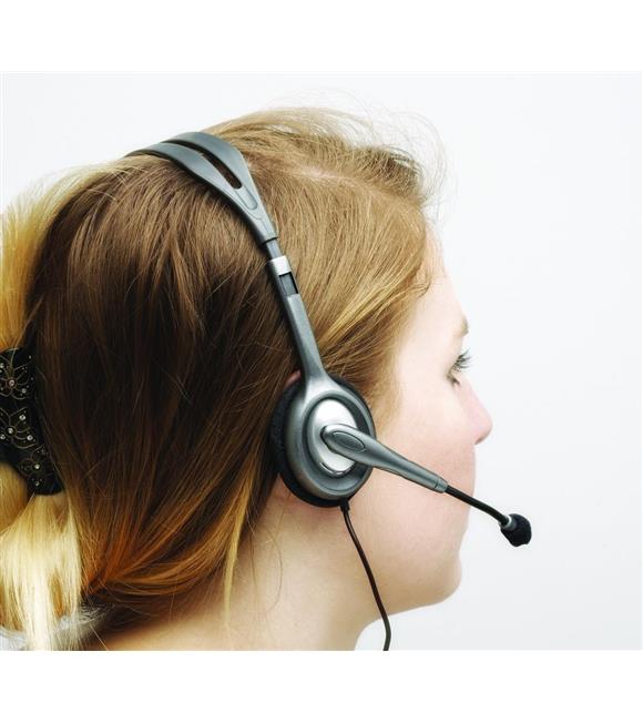 Logitech 981-000271 H110 Stereo Kulaküstü Gri Kulaklık