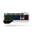 Everest Rampage KB-R04 Siyah Usb Kablolu Gaming Aydınlatmalı 105 Tuşlu Klavye