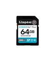 Kingston SDG4-64GB 64GB SDXC Canvas Go Plus Gen4 200MB-s C10 UHS-I U3 V30 Hafıza Kartı