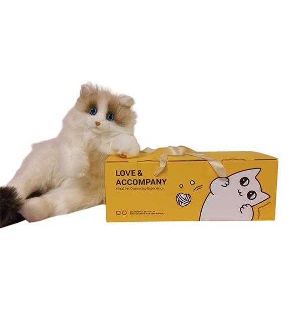 B&d BD-CAT001 Büyük Kedi Sırt Çantası Sarı