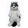 B&d BD-CAT002 Büyük Köpek Sırt Çantası