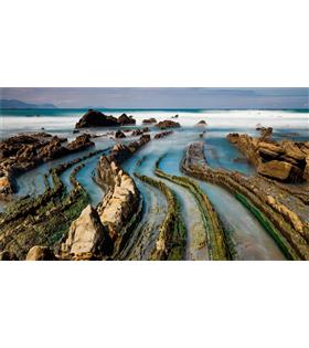 Lenovo ThinkCentre Neo 50A Gen5 i5-13420H 16GB 512GB SSD 12SCA079TR 23.8 FHD FreeDOS AIO Bilgisayar