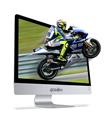 Quadro Stark H224-24165 23.8