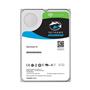 Seagate 10Tb St10000Ve0008 3.5