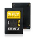 Fly 120GB 2.5