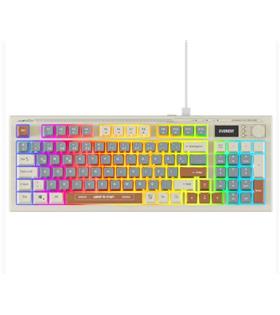 Everest KB-79 SILENT PRO Gri Mavi-Gri-Kahve SESSİZ RGB Q Membrane Oyuncu Klavyesi