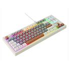 Everest KB-98 SILENT TKL Gri Mavi-Gri-Kahve Rainbow Q Membrane Klavye_1