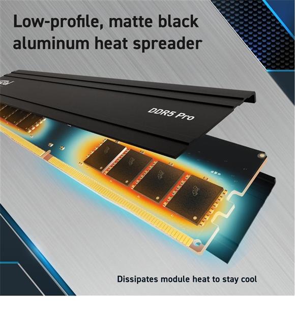 Crucial Pro 16GB DDR5-6000 Udımm CL48 CP16G60C48U5 Masaüstü Pc Ram Bellek