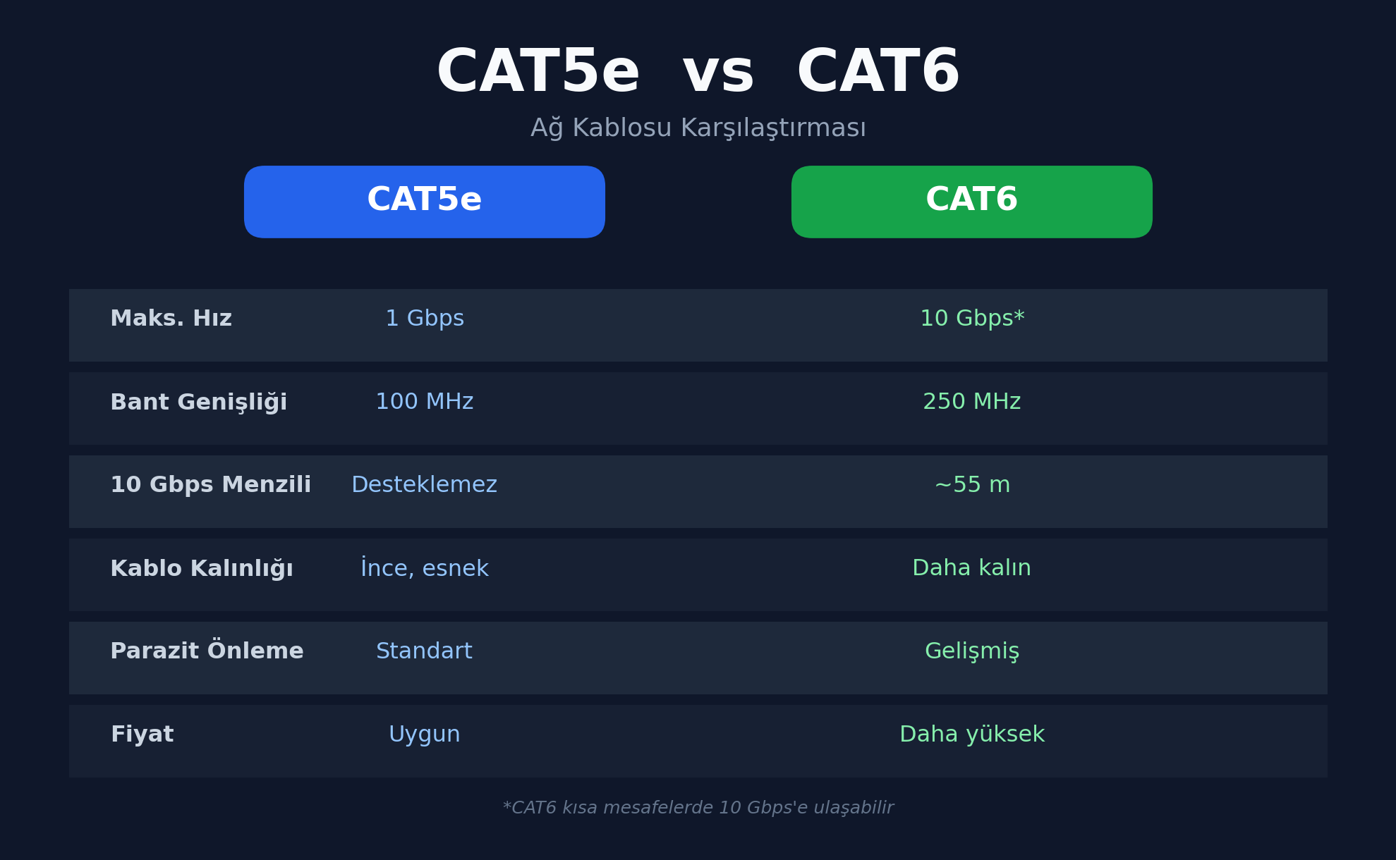 Network Kablosu Cat5e mi Cat6 mı?